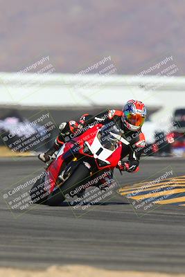 media/Jan-14-2024-SoCal Trackdays (Sun) [[2e55ec21a6]]/Turn 16 Set 2 (1125am)/